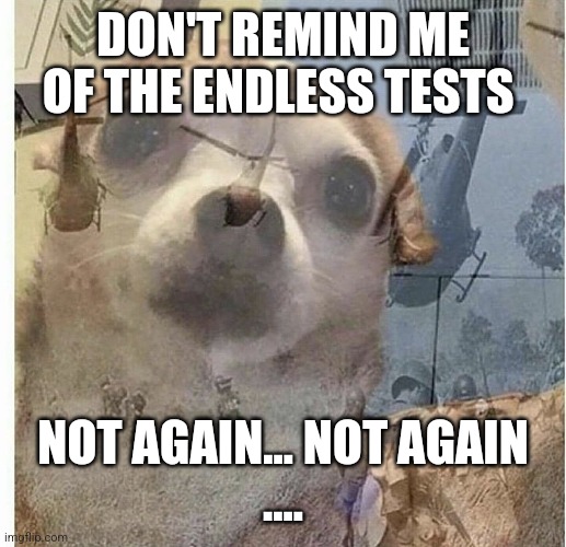 PTSD Chihuahua | DON'T REMIND ME OF THE ENDLESS TESTS NOT AGAIN... NOT AGAIN
.... | image tagged in ptsd chihuahua | made w/ Imgflip meme maker