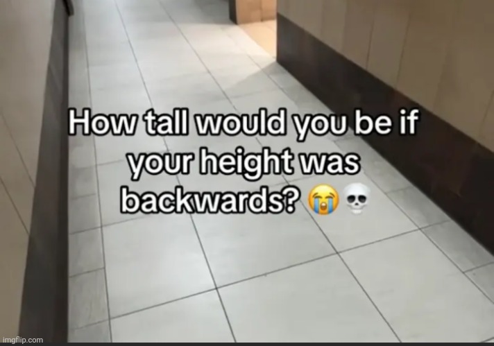 Tall as much as an ideal dick height | made w/ Imgflip meme maker