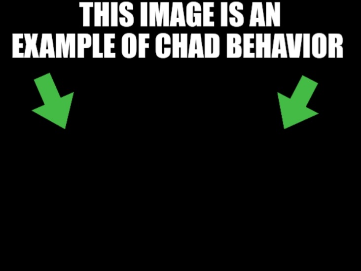 This image is an example of chad behavior dark mode Blank Meme Template