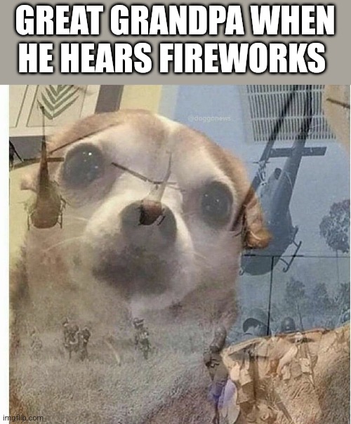 Vietnam | GREAT GRANDPA WHEN HE HEARS FIREWORKS | image tagged in ptsd chihuahua | made w/ Imgflip meme maker