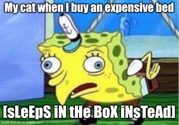 not ai at all | My cat when I buy an expensive bed; [sLeEpS iN tHe BoX iNsTeAd] | image tagged in memes,mocking spongebob | made w/ Imgflip meme maker