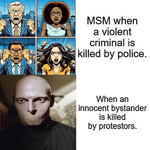 SIlence is Deafening | MSM when a violent criminal is killed by police. When an innocent bystander is killed by protestors. | image tagged in memes,drake hotline bling | made w/ Imgflip meme maker