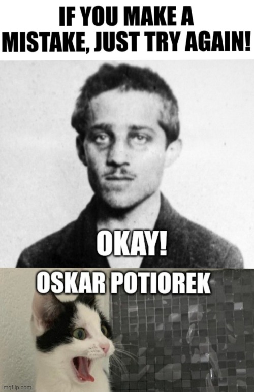 Comment if you understand this. It's probably quite obscure lol | image tagged in gavrilo princip,assassination,dark humor,oskar potiorek,sophie duchess of hohenberg,archduke franz ferdinand | made w/ Imgflip meme maker