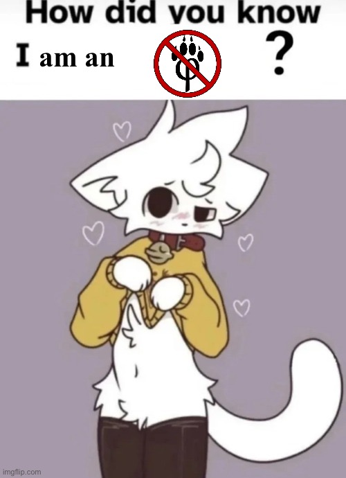 We getting controversial with this one | am an | image tagged in how did you know i play x | made w/ Imgflip meme maker