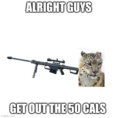 Idc what you say I'm not a zoophile BTW ("Homophobic people suck" awfully ironic) | ALRIGHT GUYS; GET OUT THE 50 CALS | image tagged in blank | made w/ Imgflip meme maker