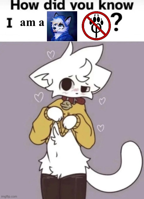 The other meme, but fixed/better | am a | image tagged in how did you know i play x | made w/ Imgflip meme maker