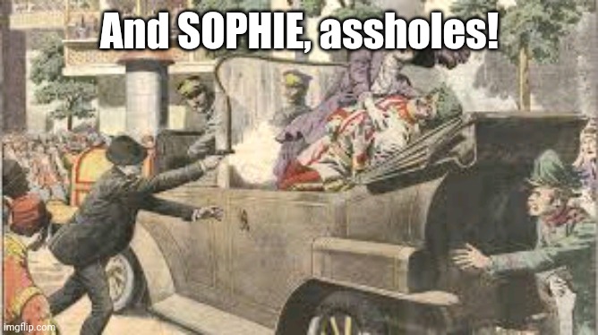 Remember her or else! | And SOPHIE, assholes! | image tagged in assasination of archduke | made w/ Imgflip meme maker