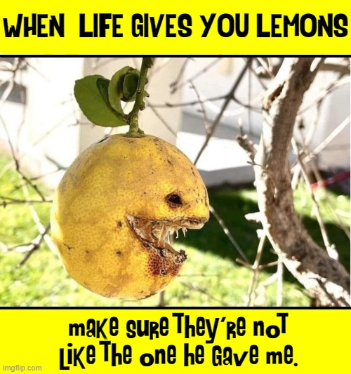 WHEN  LIFE GIVES YOU LEMONS; make sure they're not like the one he gave me. | image tagged in vince vance,lemons,memes,cursed image,when life gives you lemons,scary | made w/ Imgflip meme maker