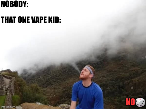 NOBODY:; THAT ONE VAPE KID:; NO🎲 | image tagged in funny | made w/ Imgflip meme maker