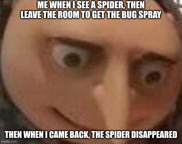 gru meme | ME WHEN I SEE A SPIDER, THEN LEAVE THE ROOM TO GET THE BUG SPRAY; THEN WHEN I CAME BACK, THE SPIDER DISAPPEARED | image tagged in gru meme | made w/ Imgflip meme maker