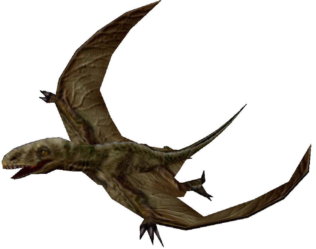 Dimorphodon (FMM UV-32) Blank Meme Template