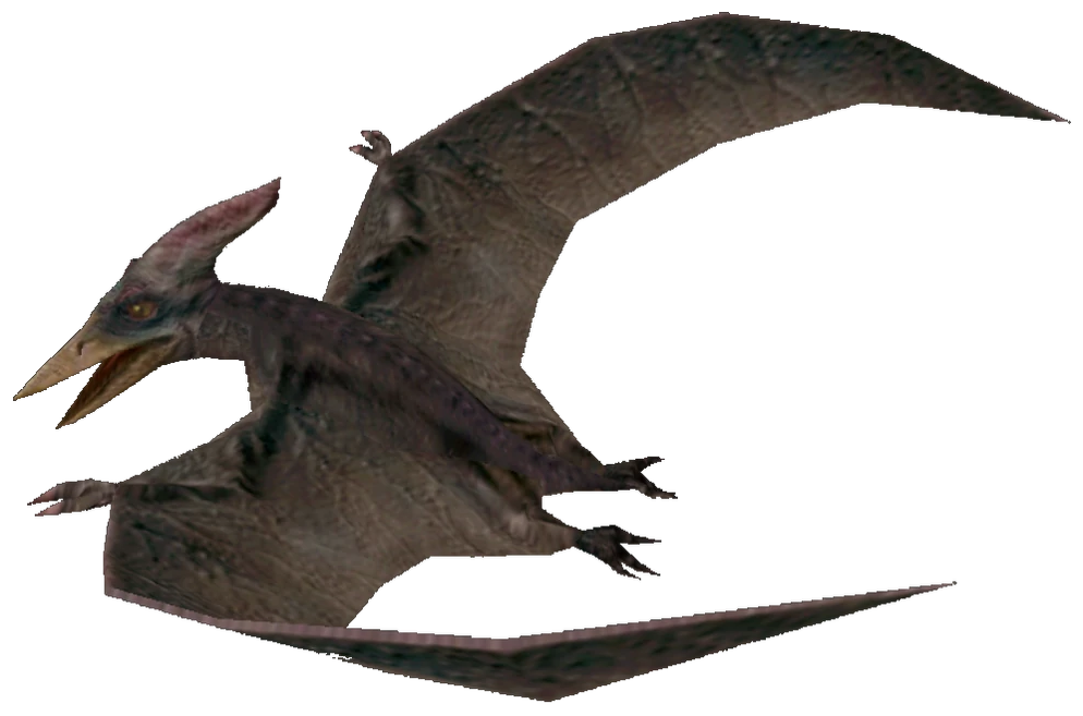 Pteranodon (FMM UV-32) Blank Meme Template