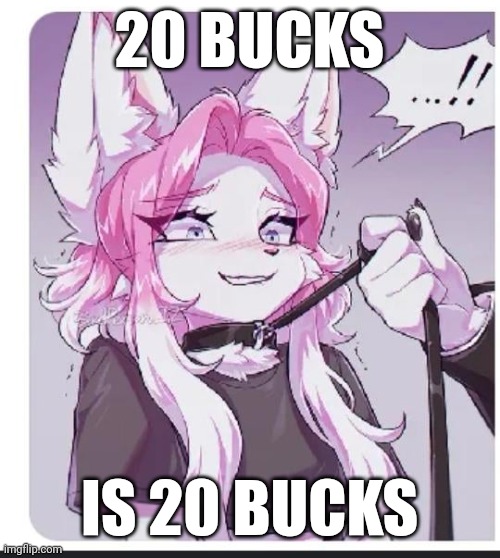 20 BUCKS; IS 20 BUCKS | made w/ Imgflip meme maker