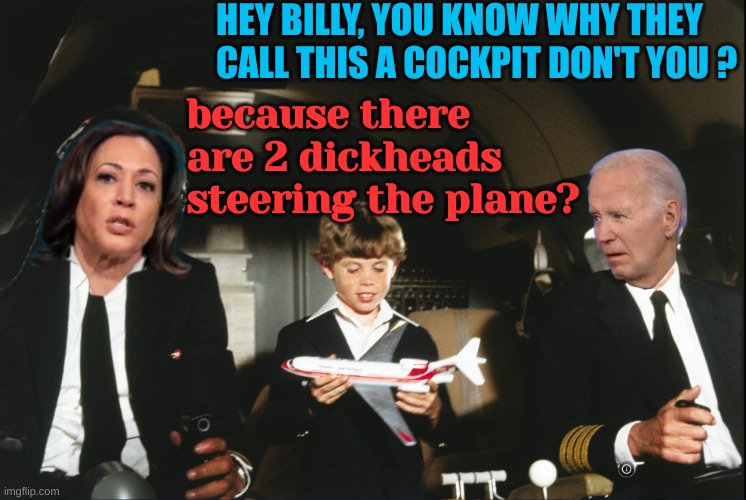 There are always 2 dickheads in the Front Hole | HEY BILLY, YOU KNOW WHY THEY CALL THIS A COCKPIT DON'T YOU ? because there are 2 dickheads steering the plane? | image tagged in airplane pervert | made w/ Imgflip meme maker