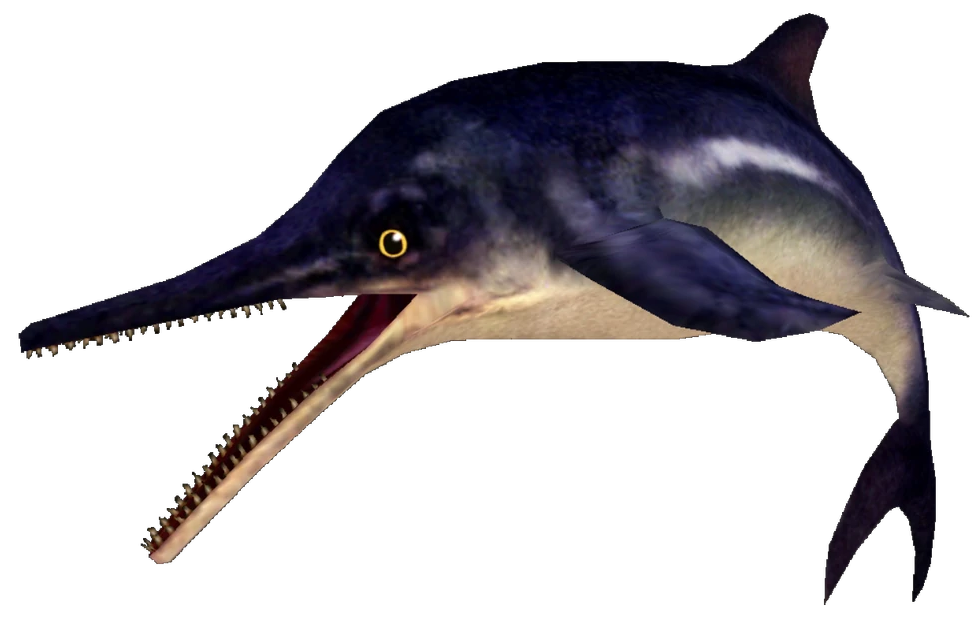 Ichthyosaurus (FMM UV-32) Blank Meme Template