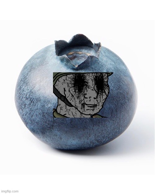 Blueberry | image tagged in blueberry | made w/ Imgflip meme maker