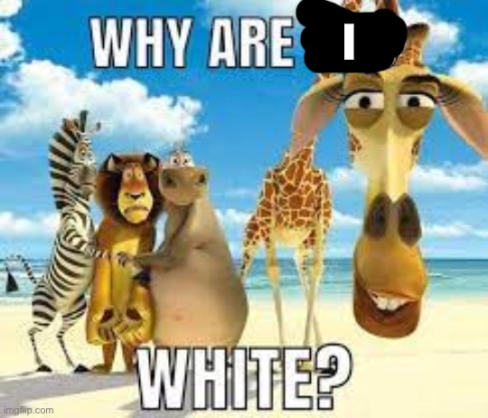 why are you white? | I | image tagged in why are you white | made w/ Imgflip meme maker