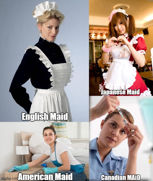 Not sure about that last one | image tagged in maid,canada | made w/ Imgflip meme maker