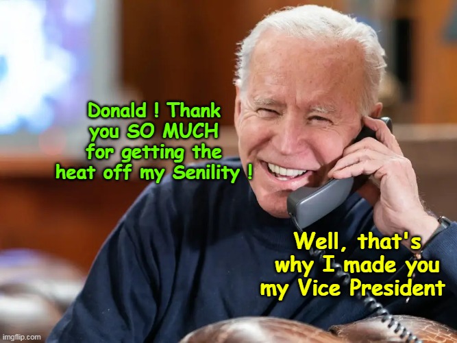 Mumbles calls The Donald | Donald ! Thank you SO MUCH for getting the heat off my Senility ! Well, that's why I made you my Vice President | image tagged in biden calls trump meme | made w/ Imgflip meme maker