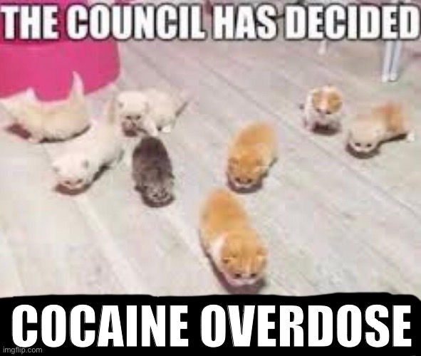 COCAINE OVERDOSE | image tagged in the council has decided | made w/ Imgflip meme maker