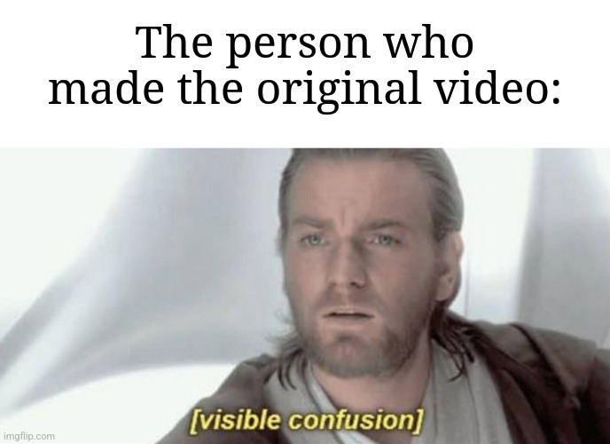 Visible Confusion | The person who made the original video: | image tagged in visible confusion | made w/ Imgflip meme maker