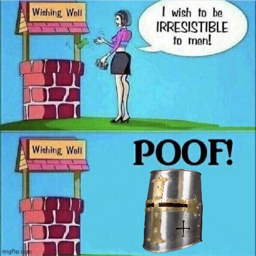 Irresistible crusader | image tagged in i wish to be irresistible to men | made w/ Imgflip meme maker