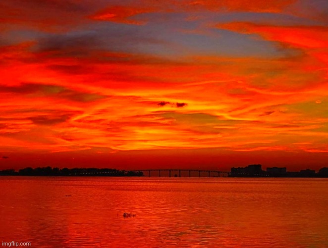Fire sky sunset. Clearwater, Fl. Photo credit: Lisa Garret Perkins | image tagged in beautiful sunset,awesome,photography,florida | made w/ Imgflip meme maker