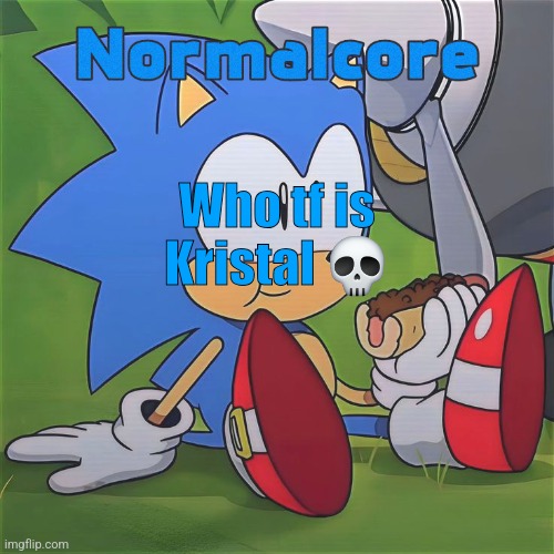 Random Sonic Template (REMAKE) | Who tf is Kristal 💀 | image tagged in random sonic template remake | made w/ Imgflip meme maker