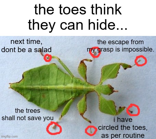 the toes think they can hide... next time, dont be a salad; the escape from my grasp is impossible. the trees shall not save you; i have circled the toes, as per routine | made w/ Imgflip meme maker
