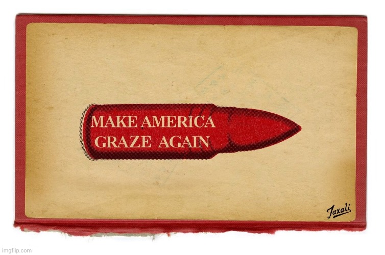 Not made by me | image tagged in political art | made w/ Imgflip meme maker