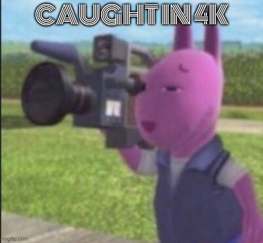 Caught in 4k | CAUGHT IN 4K | image tagged in caught in 4k | made w/ Imgflip meme maker