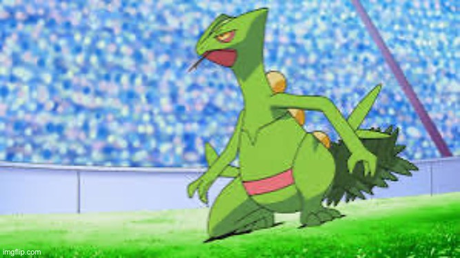Sceptile | image tagged in sceptile | made w/ Imgflip meme maker