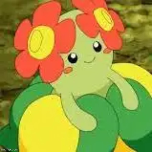 Bellossom | image tagged in bellossom | made w/ Imgflip meme maker