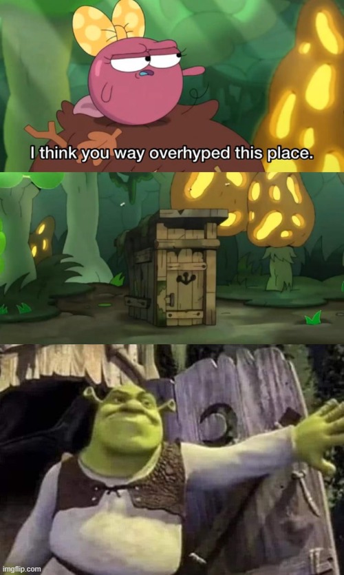 image tagged in i think you way overhyped this place,shrek opens the door,amphibia,shrek,all star | made w/ Imgflip meme maker
