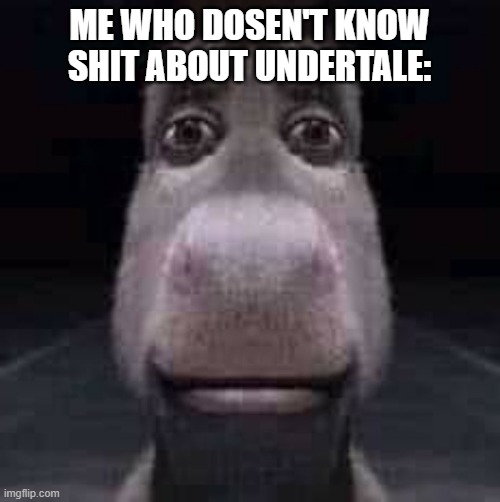 Donkey staring | ME WHO DOSEN'T KNOW SHIT ABOUT UNDERTALE: | image tagged in donkey staring | made w/ Imgflip meme maker