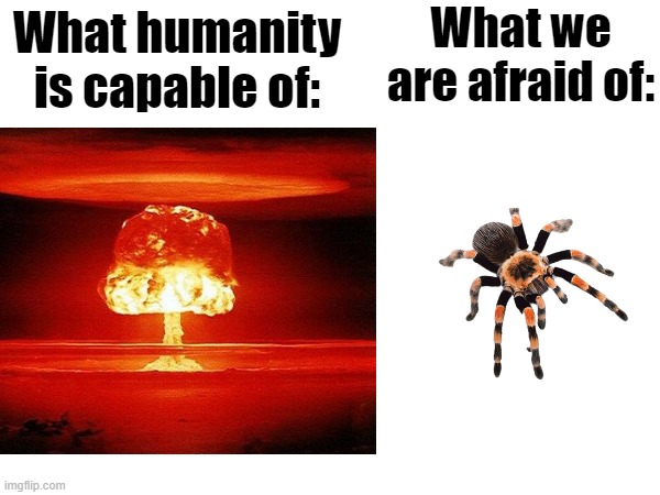 So many of us are scared of such little things | What we are afraid of:; What humanity is capable of: | image tagged in funny memes,fears,spooder,nuke | made w/ Imgflip meme maker