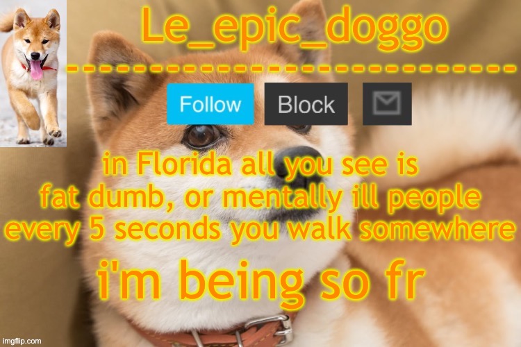 epic doggo's temp back in old fashion | in Florida all you see is fat dumb, or mentally ill people every 5 seconds you walk somewhere; i'm being so fr | image tagged in epic doggo's temp back in old fashion | made w/ Imgflip meme maker