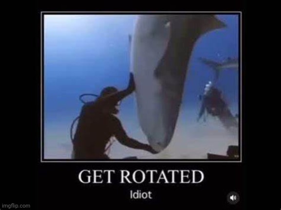 Get rotated idiot (better) | image tagged in get rotated idiot better | made w/ Imgflip meme maker