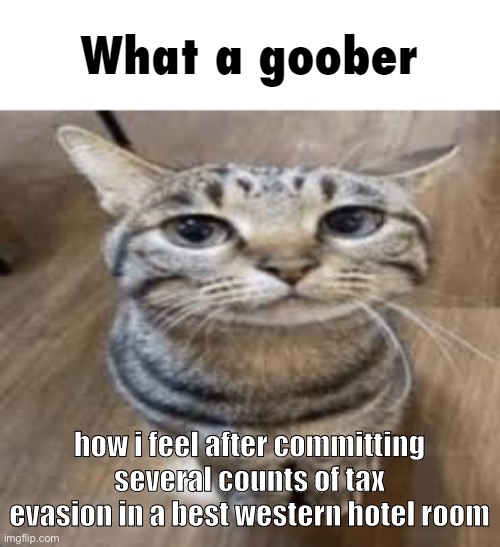 tax evasion | how i feel after committing several counts of tax evasion in a best western hotel room | image tagged in what a goober | made w/ Imgflip meme maker