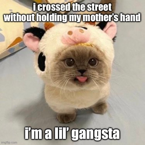 lil’ gangsta | i crossed the street without holding my mother’s hand; i’m a lil’ gangsta | image tagged in gangsta | made w/ Imgflip meme maker