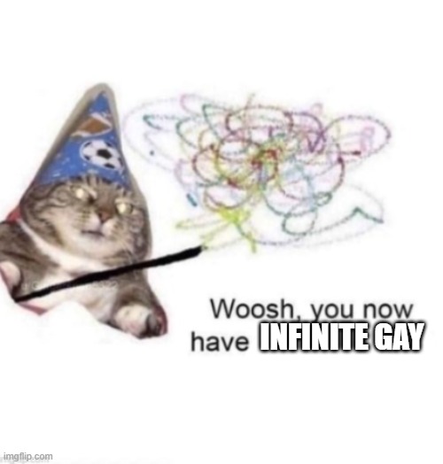 woosh you now have | INFINITE GAY | image tagged in woosh you now have | made w/ Imgflip meme maker