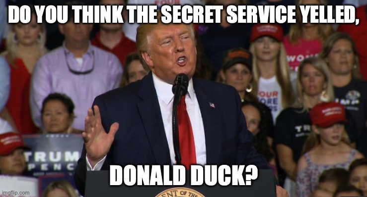 Donald Duck Trump | DO YOU THINK THE SECRET SERVICE YELLED, DONALD DUCK? | image tagged in trump,republicans,assassination,fun | made w/ Imgflip meme maker