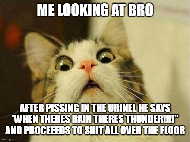 um | ME LOOKING AT BRO; AFTER PISSING IN THE URINEL HE SAYS 'WHEN THERES RAIN THERES THUNDER!!!!" AND PROCEEEDS TO SHIT ALL OVER THE FLOOR | image tagged in memes,scared cat,funny memes,funny,shitpost,shit | made w/ Imgflip meme maker