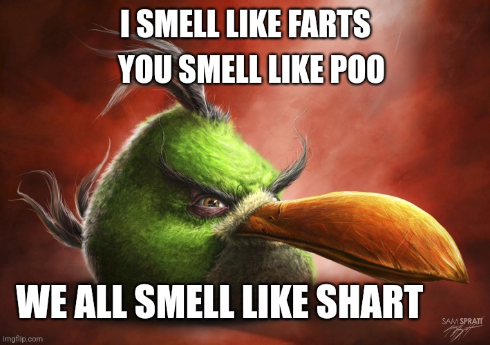 Realistic Angry Bird | YOU SMELL LIKE POO; I SMELL LIKE FARTS; WE ALL SMELL LIKE SHART | image tagged in realistic angry bird | made w/ Imgflip meme maker