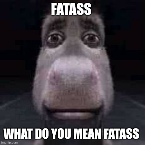 Donkey staring | FATASS; WHAT DO YOU MEAN FATASS | image tagged in donkey staring | made w/ Imgflip meme maker