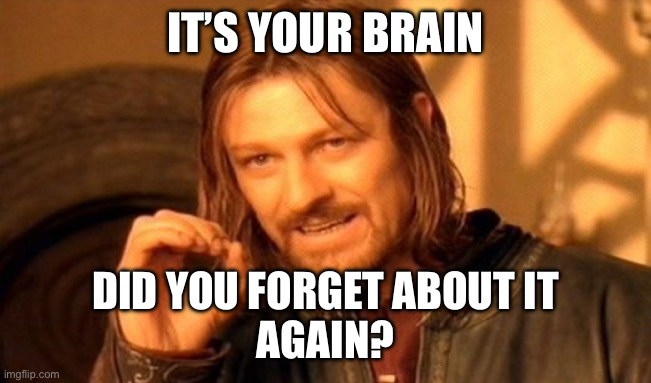 One Does Not Simply | IT’S YOUR BRAIN; DID YOU FORGET ABOUT IT
AGAIN? | image tagged in memes,one does not simply | made w/ Imgflip meme maker