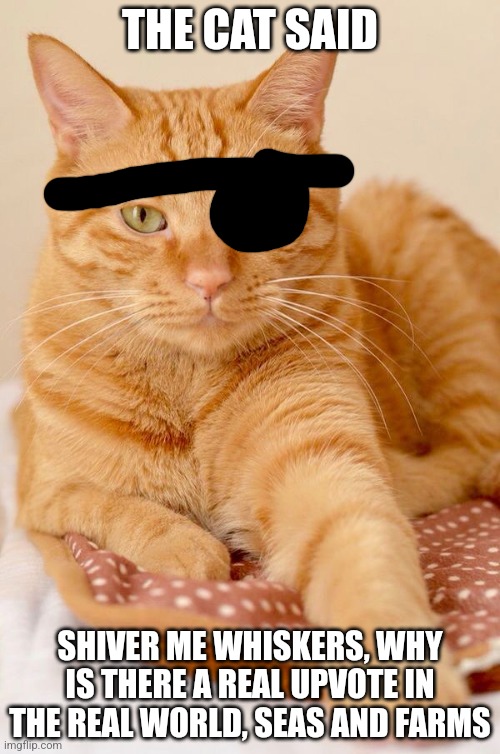 Orange Cat | THE CAT SAID; SHIVER ME WHISKERS, WHY IS THERE A REAL UPVOTE IN THE REAL WORLD, SEAS AND FARMS | image tagged in orange cat | made w/ Imgflip meme maker