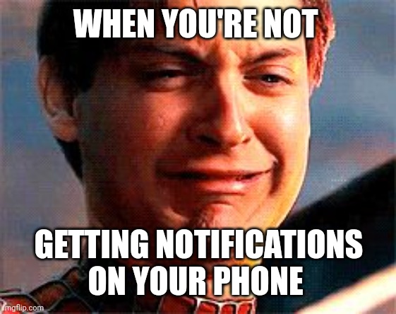 Tobey Maguire crying | WHEN YOU'RE NOT; GETTING NOTIFICATIONS ON YOUR PHONE | image tagged in tobey maguire crying,toby maguire | made w/ Imgflip meme maker