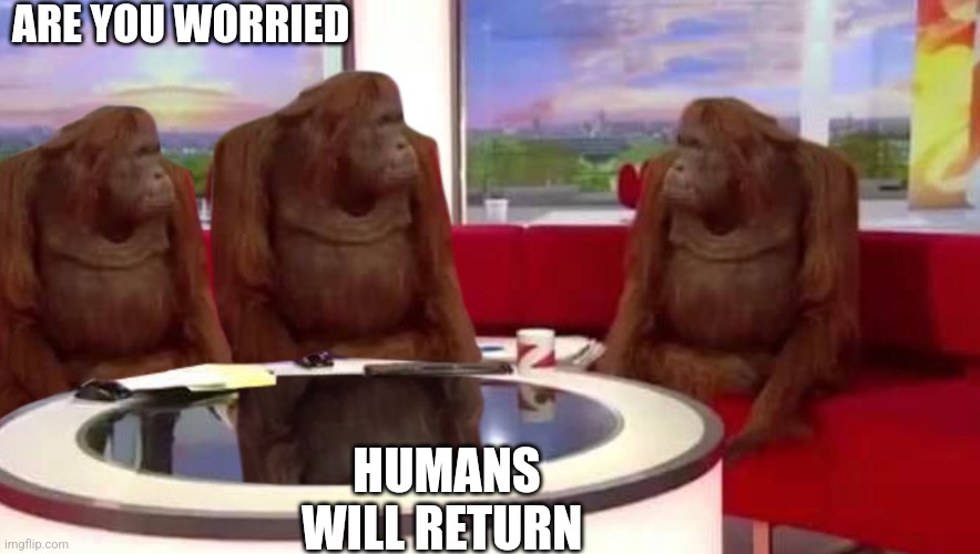 where monkey | ARE YOU WORRIED; HUMANS WILL RETURN | image tagged in where monkey | made w/ Imgflip meme maker