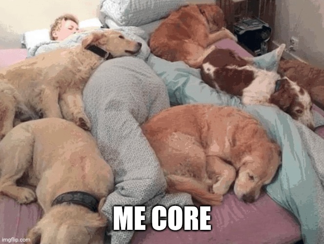 I luv dog :3 | ME CORE | image tagged in dog | made w/ Imgflip meme maker